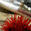 E2200_DSCN1673