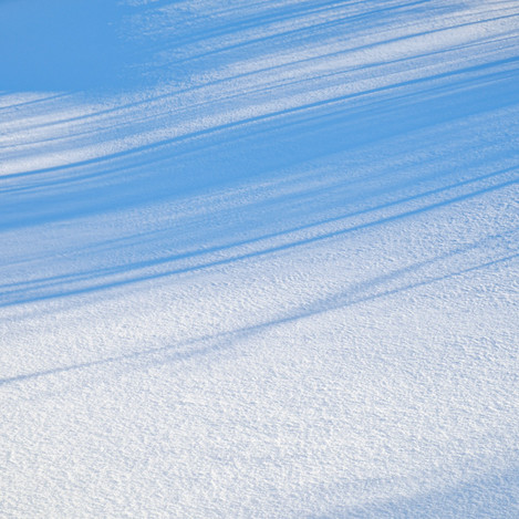 0633_abisko_shadows