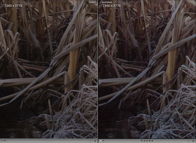 dynamic-range-comparison