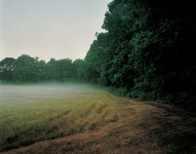 Image 2. Caption: Farmland and woodland – man and nature - in close harmony. Harry Cory Wright, Oaks. Tilhill, Surrey. 