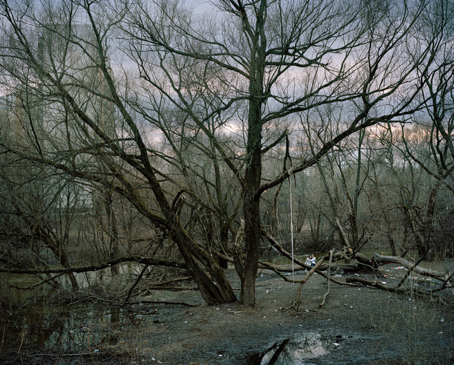 Image 11. Caption: Instead of pastel shades and sylvain glades we see litter in the woodland grove. Alexander Gronsky Pastoral 2008 - 2012 