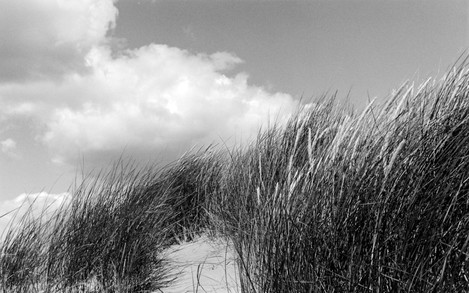 54_OYD_K_Mablethorpe_Grasses