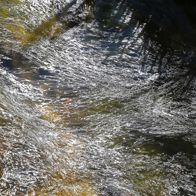 Afternoon sun decorates the water's surface with trails of light. Bankside grasses cast a dark shadow.