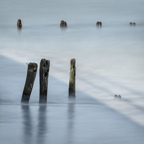 Singing Groynes at Sandsend' - by Lizzie Shepherd