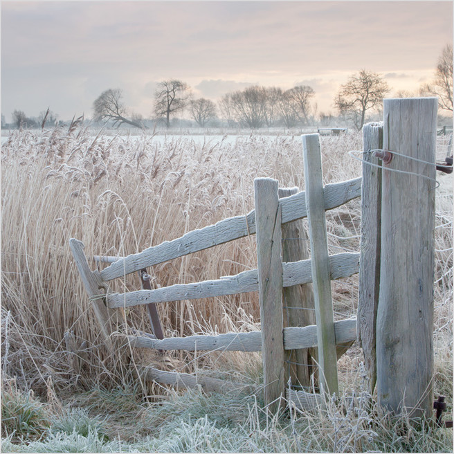 Frosty Gate