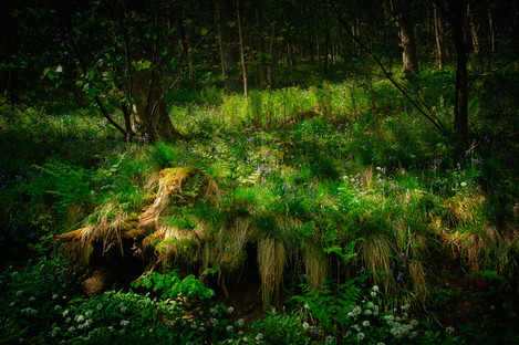 Riccaldale Springtime - by John Clifton