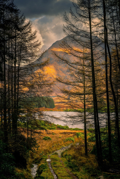 Stob na Broige from Glen Etive forest