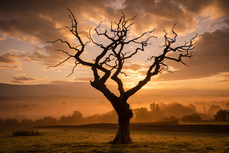 The Rising Sun - On Landscape