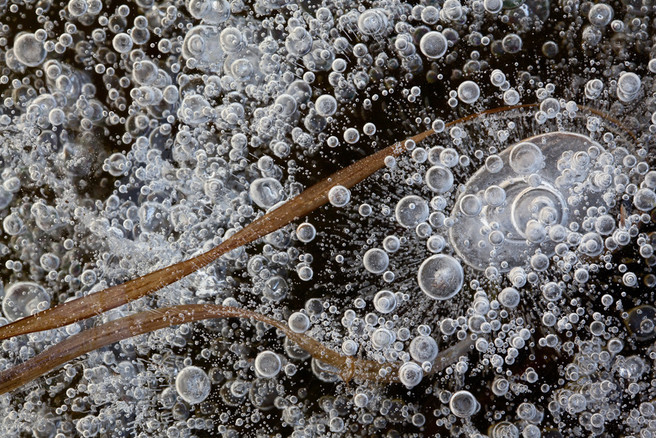 Theo Bosboom - Ice universe