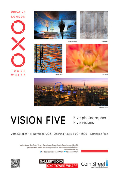 VisionFive_Poster