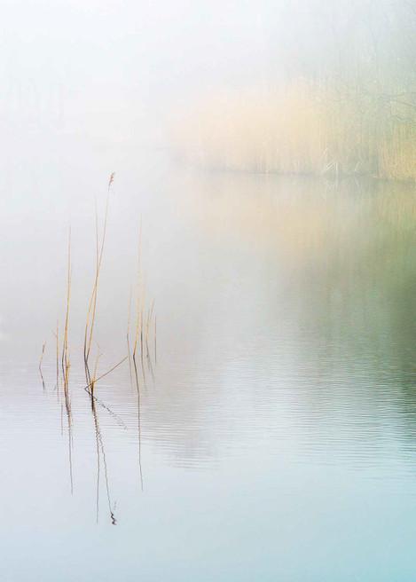 Misty Morning at Wake Valley Pond