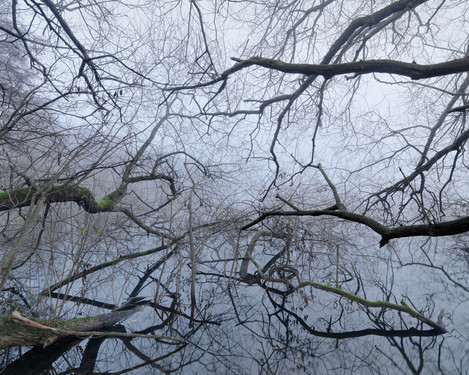 Hans Strand, Late Autumn mist, Lake Trekanten, Sweden, November 2009