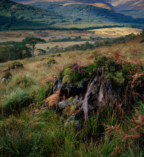 Glen Etive - Tim Parkin