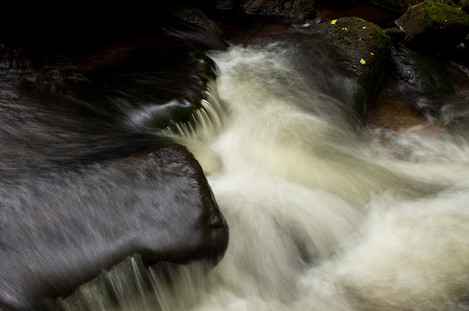 Aune fall chiaroscuro lightroom