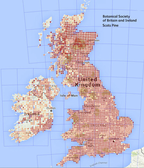 distribution-uk