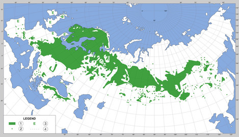 europe-distribution