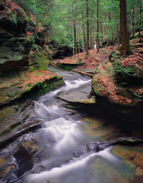 Springtime Stream, Hocking Hills State Park, Ohio