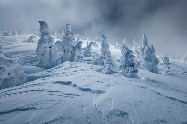 Winter frost in Karavanke Alps, Slovenia