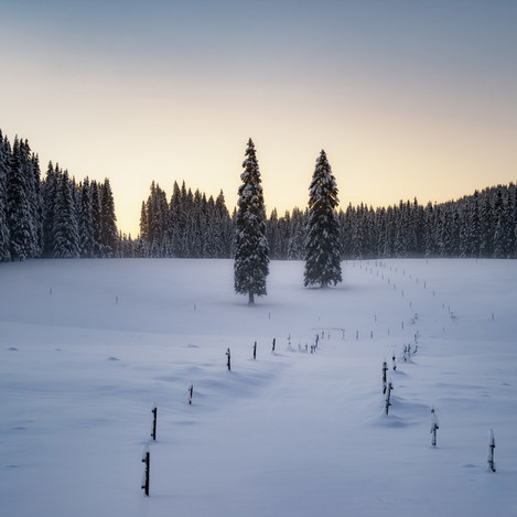 Pokljuka Plateau, Julian Alps, Slovenia