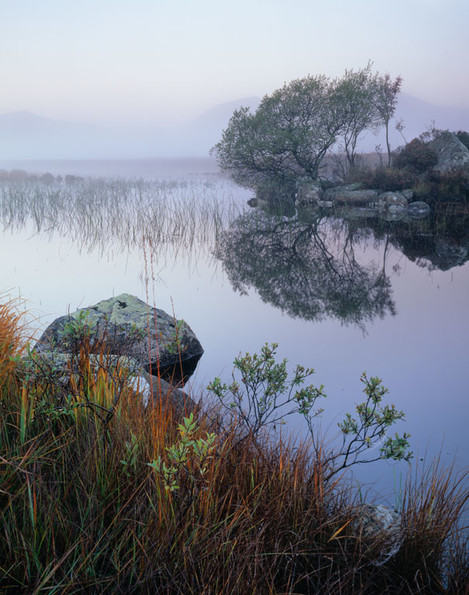 rannoch-1024