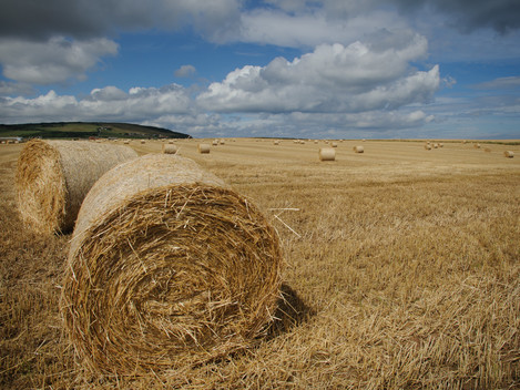 Hay Bales - possible mood shot