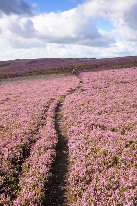 we all like to feel the sun on our backs occasionally, but landscape photography in Summer can take us to places where there is little or no shade.