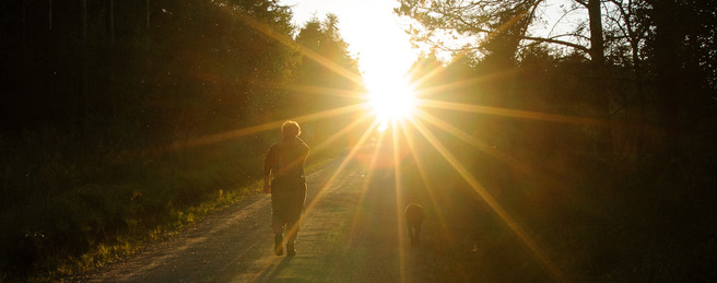 Summer walking shot