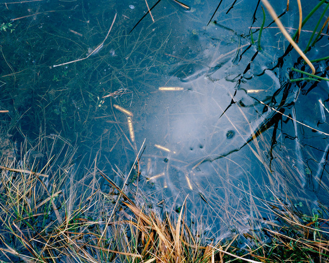 Bullet Casings, Okehampton Range Danger Area