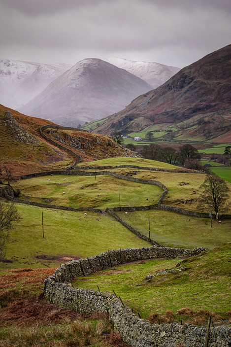 martindale maze