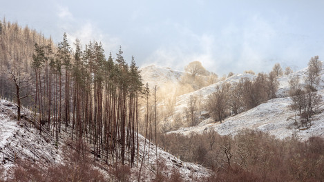 Glen Spean