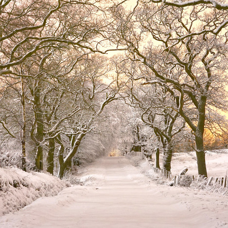 saline_road_in_snow