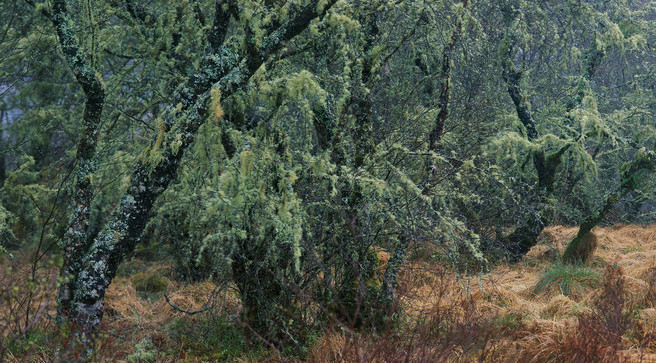 An Cnap, Salem, Ardnamurchan, Tim Parkin website