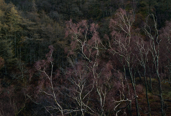 Shepherd's Crag, Borrowdale, Tim Parkin website