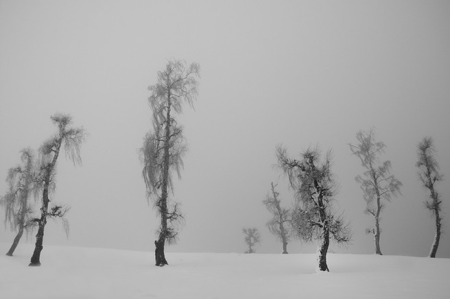 The Unnamed Feeling, Stupca, Romania, Ionut Hrenciuc<a href="https://www.flickr.com/photos/32506583@N04/">Facebook</a>