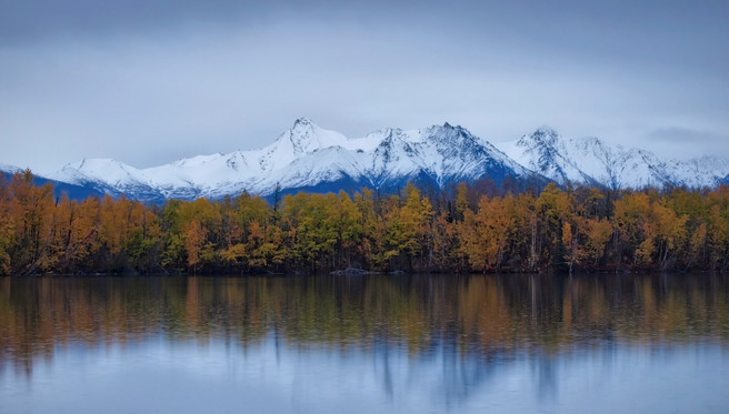 Mostly birch trees across the lake, Bradley Lake, Wasilla, Alaska, Ian Meades, website