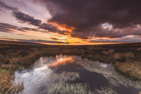 long-mynd-wildmoor-above-pools-dusk-feb-33