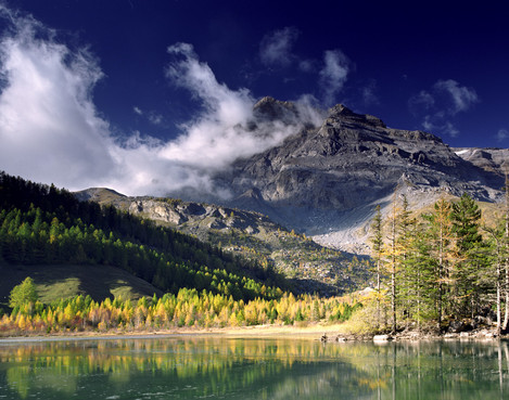 7. Natural reserve Der-borance, mid-October. Pentax 67II, SMC Pentax 45mm lens, polarizing filter, Fuji Reala.