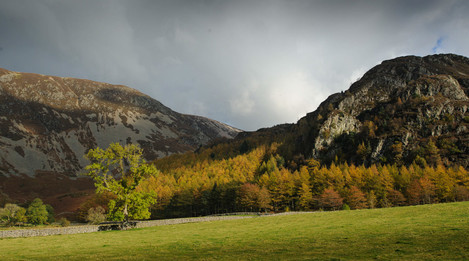 autumn-colours-by-crummock-water