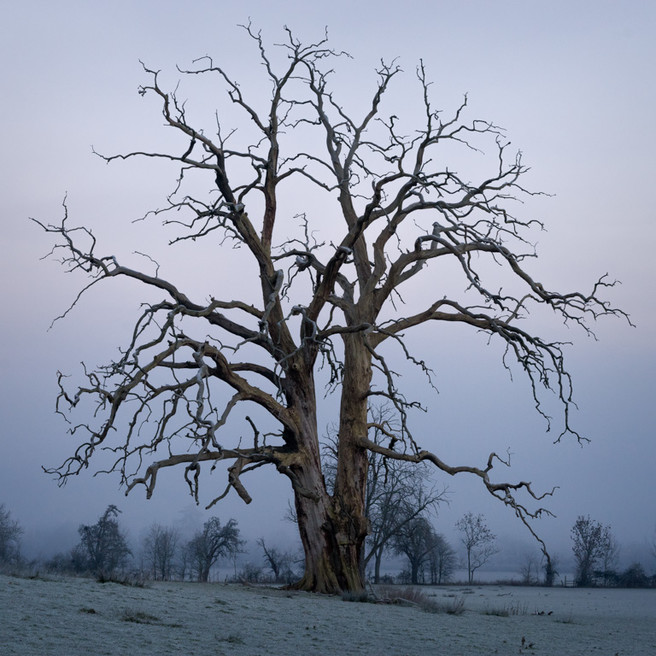 bredon-hill-4x4-1