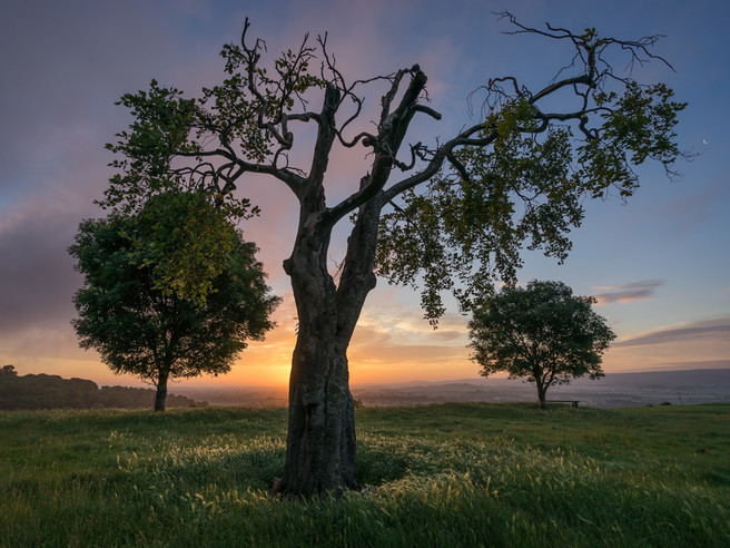 bredon-hill-4x4-4