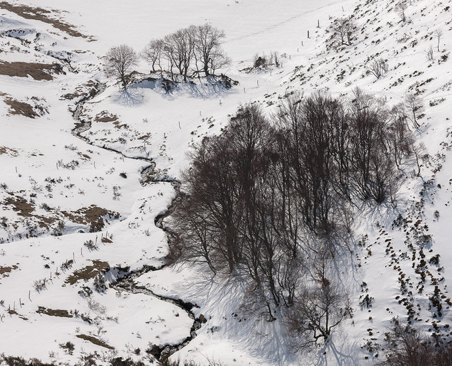 auvergne_w