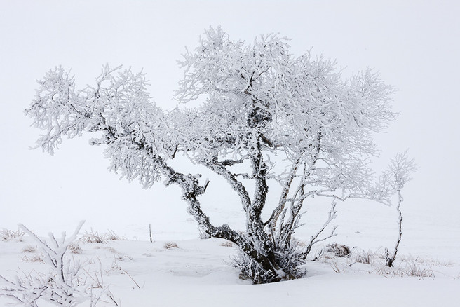 auvergne_x