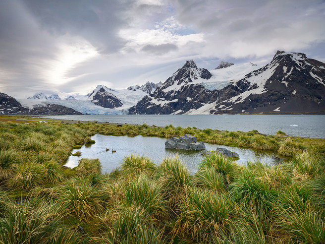 King Håkon Bay