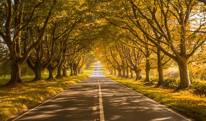The Road to Autumn