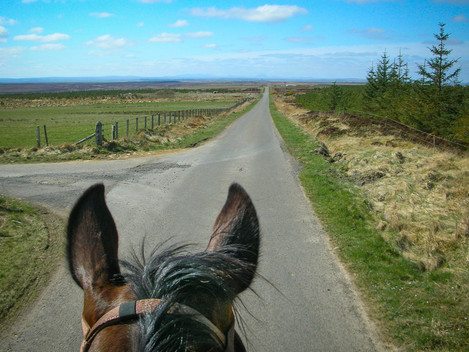 A long road south shortly after leaving John O' Groats