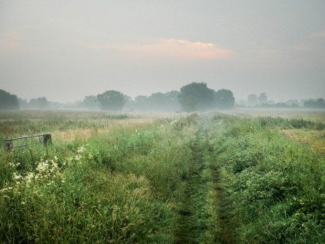 Early morning on the Somerset Levels
