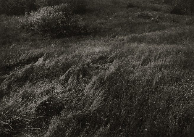 Thomas Joshua Cooper ~ An Indication - Ritual Ground, Ledlewan, Old Stirlingshire. Scotland, 1988
