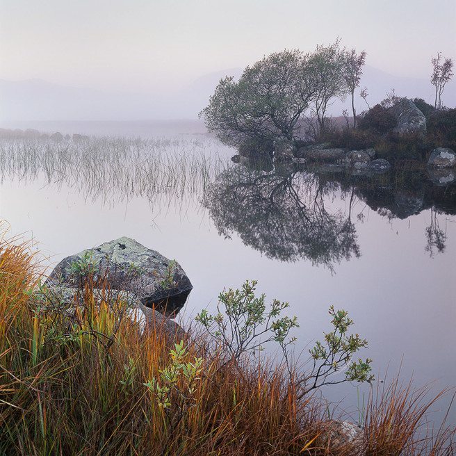 Large format photography - Still Morning, Rannoch Moor, 2007 