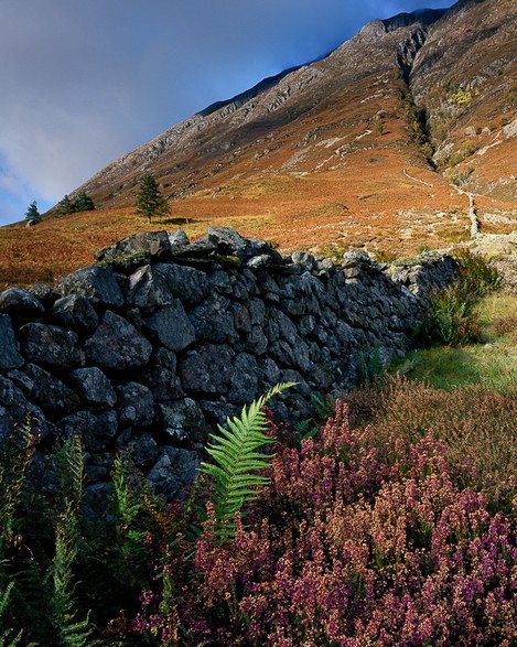 Large format photography -Clachaig Gully, Glencoe, 2007