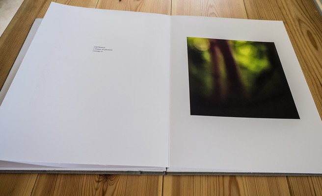 Adrian Joyner - handmade photography books image 8